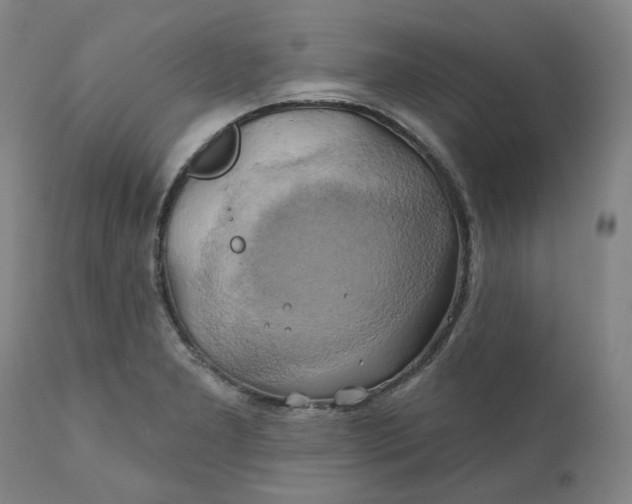 X0000111241277200907161332