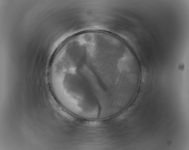 X0000111241278200907161332