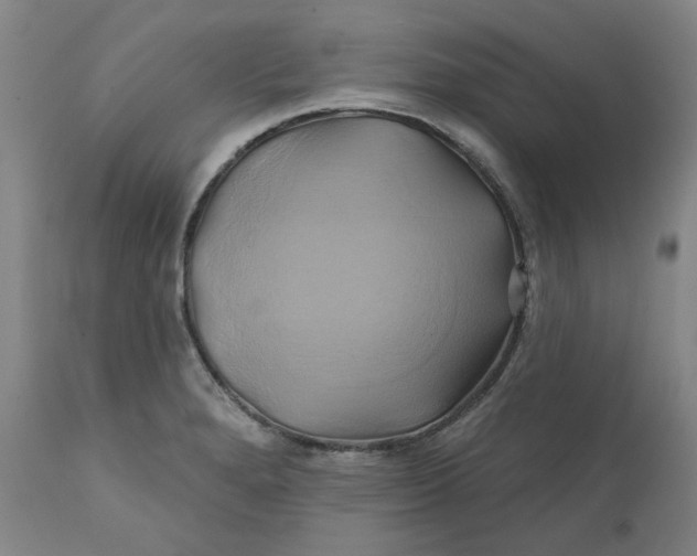 X0000111241280200907161332