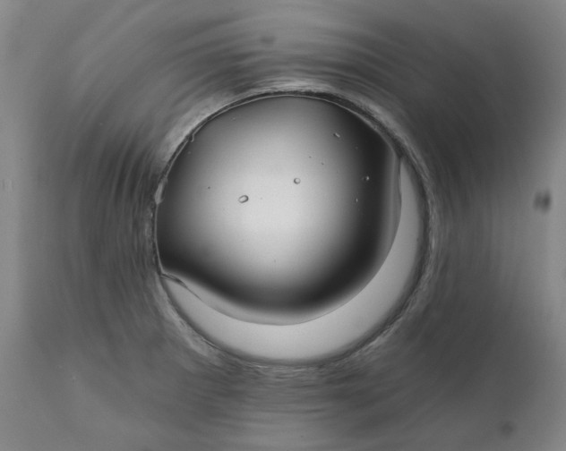 X0000111241281200907161332