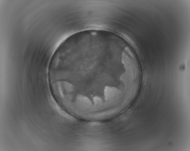 X0000111241283200907161332