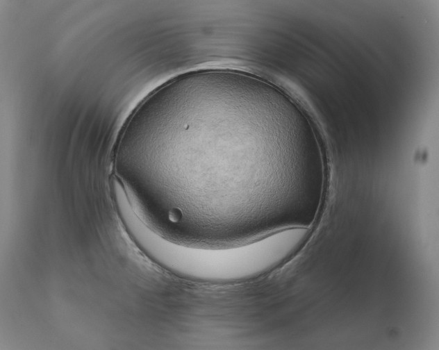 X0000111241284200907161332