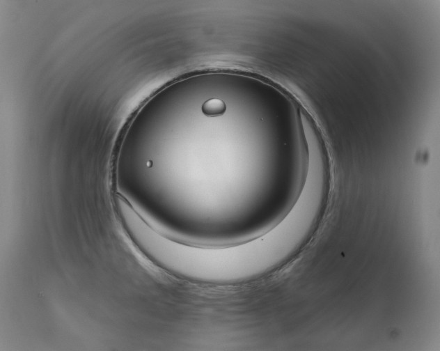 X0000111241285200907161332