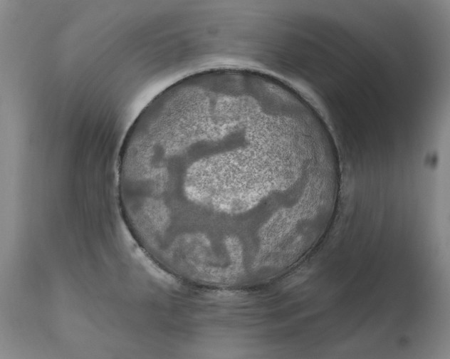 X0000111241287200907161332