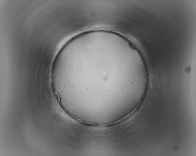 X0000111241288200907161332