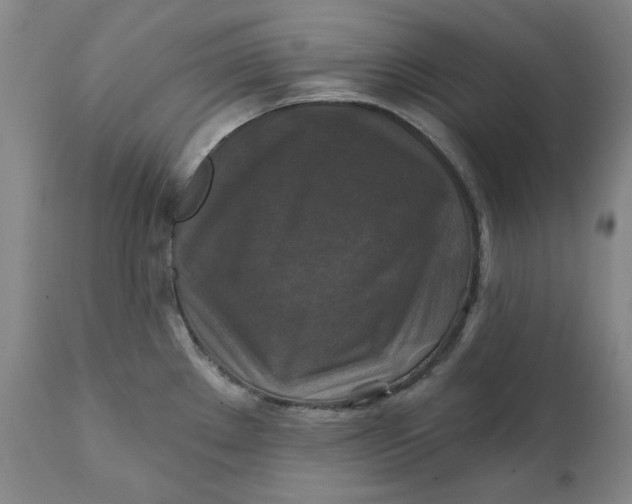 X0000111241289200907161332