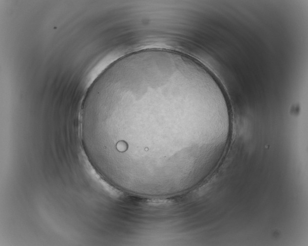 X0000111241290200907161332