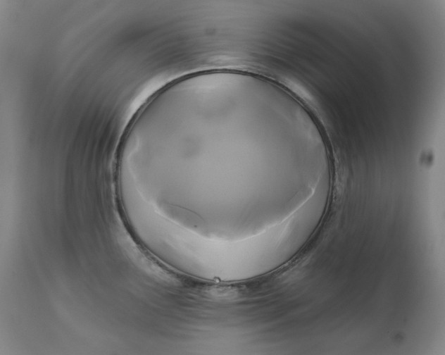 X0000111241291200907161332