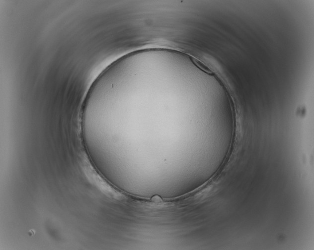 X0000111241292200907161332