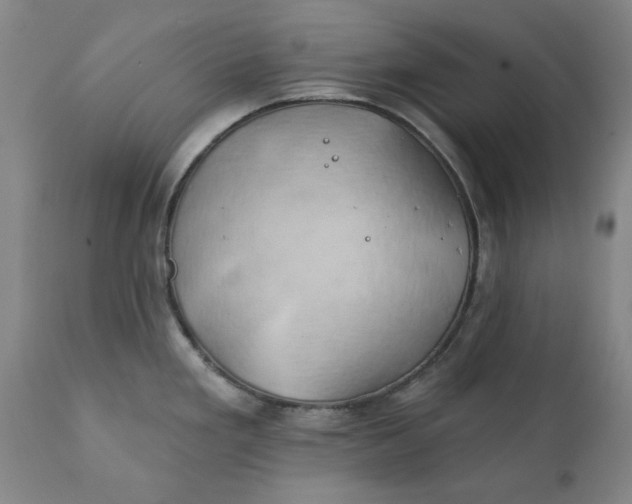 X0000111241293200907161332