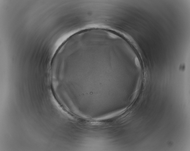 X0000111241295200907161331