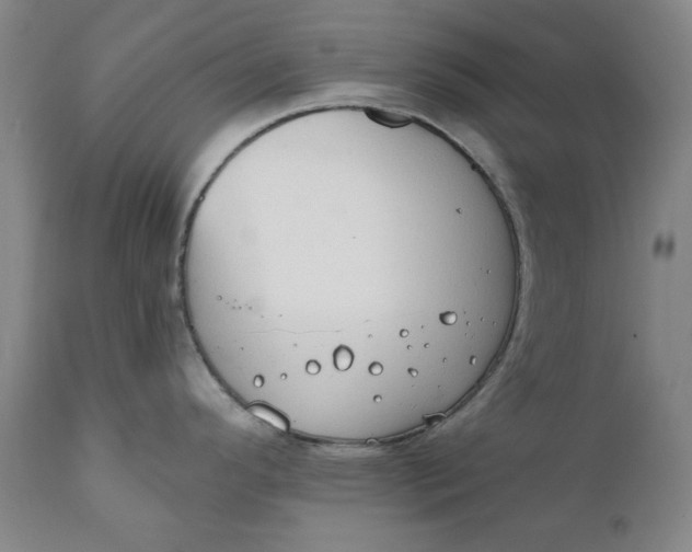 X0000111241296200907161331