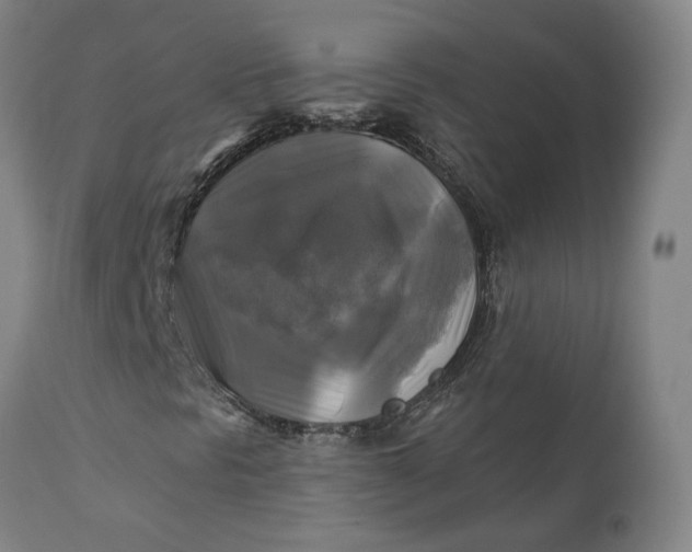 X0000111241297200907161331