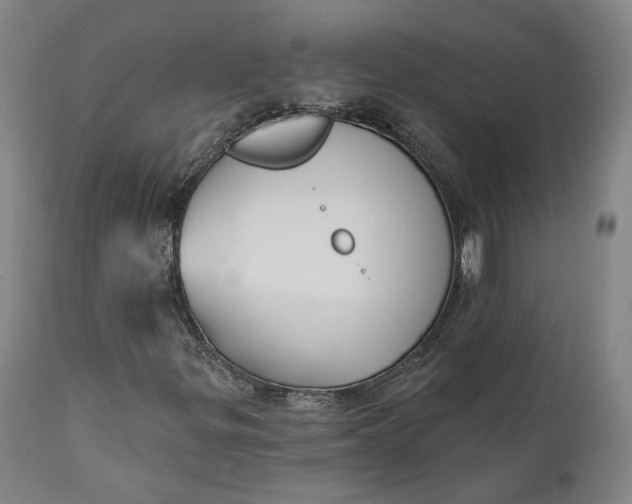 X0000111241299200907161331