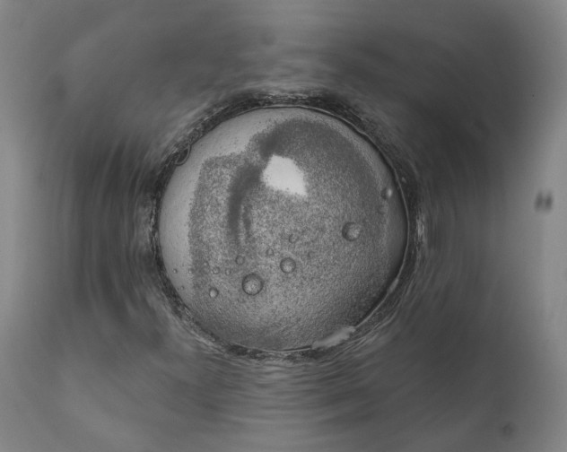 X0000111241300200907161331