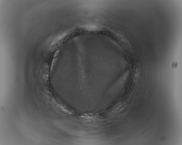 X0000111241301200907161331