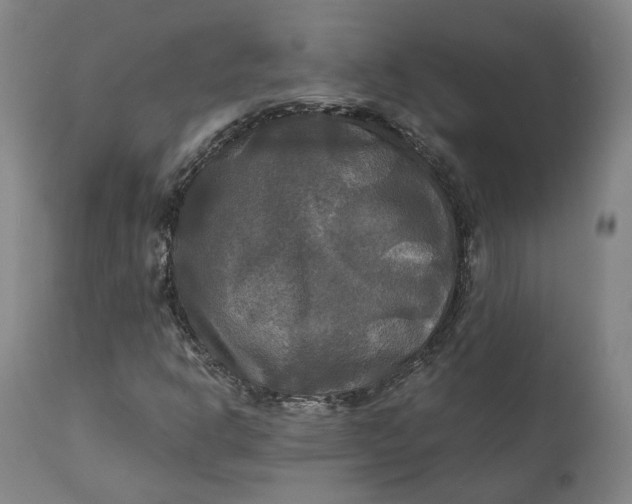 X0000111241302200907161331