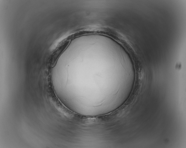 X0000111241304200907161331