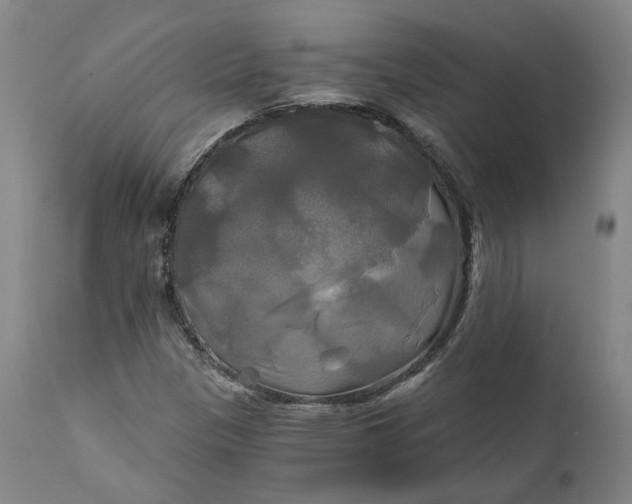 X0000111241305200907161331