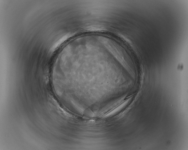 X0000111241306200907161331