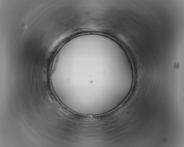 X0000111241307200907161331