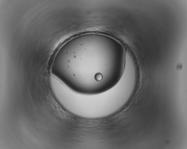 X0000111241308200907161331