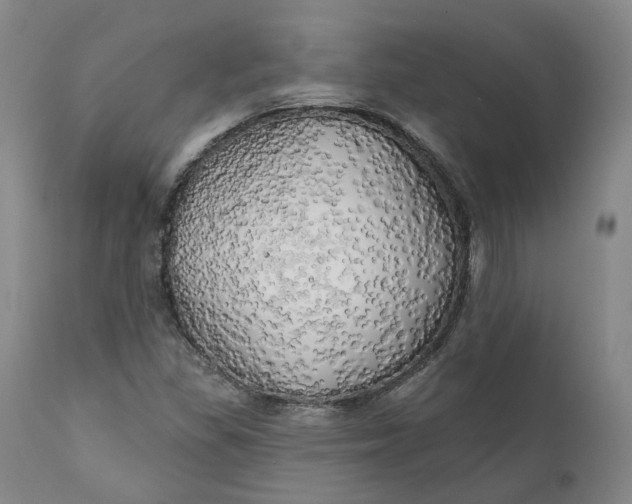 X0000111241309200907161331