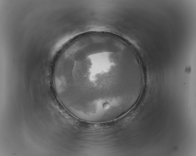 X0000111241311200907161331