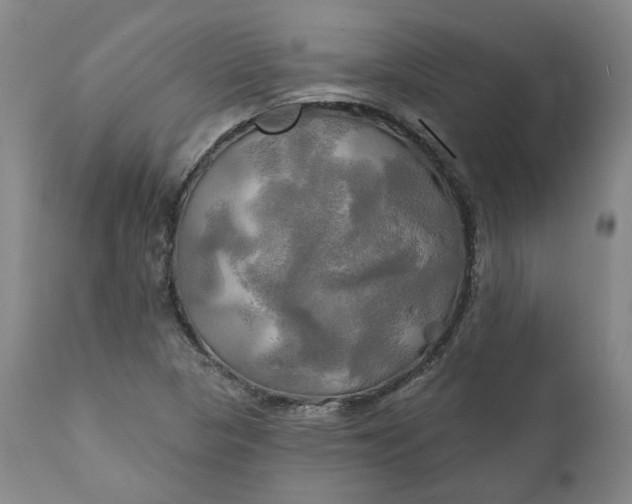 X0000111241313200907161331