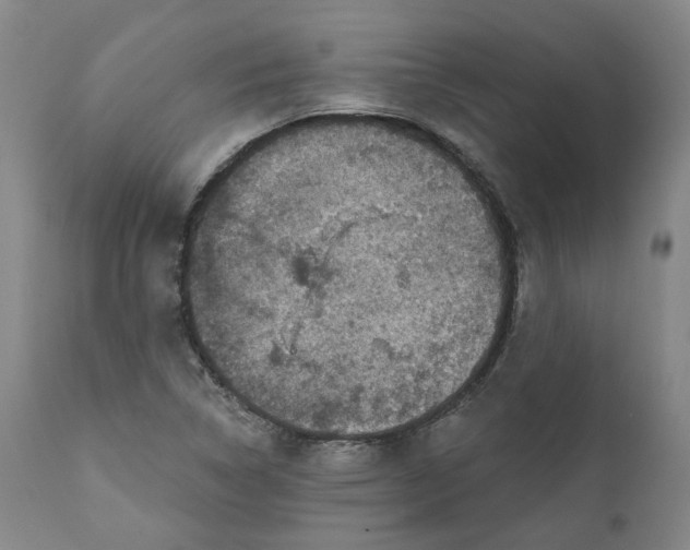 X0000111241314200907161331