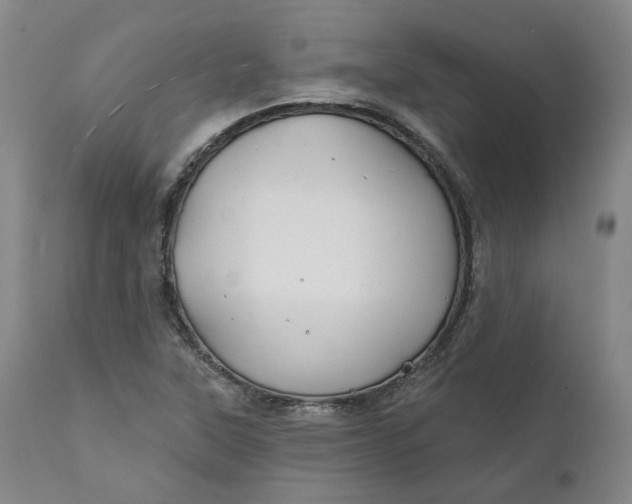 X0000111241315200907161331