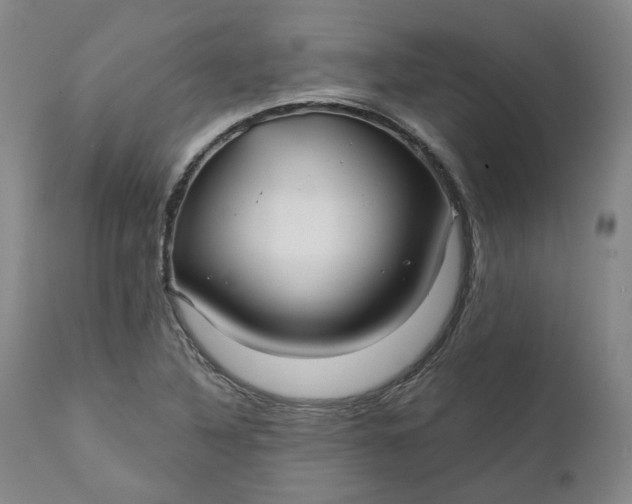 X0000111241316200907161331