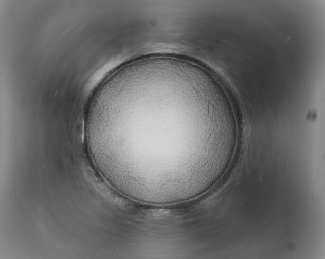 X0000111241317200907161331