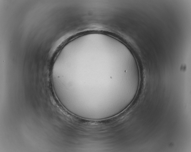 X0000111241318200907161331