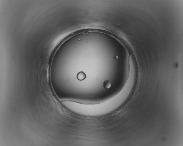 X0000111241320200907161331