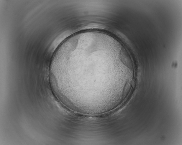 X0000111241321200907161331