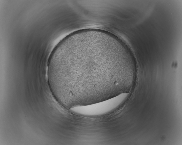 X0000111241324200907161331