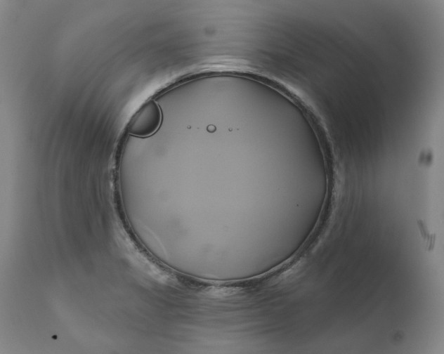 X0000111241325200907161331