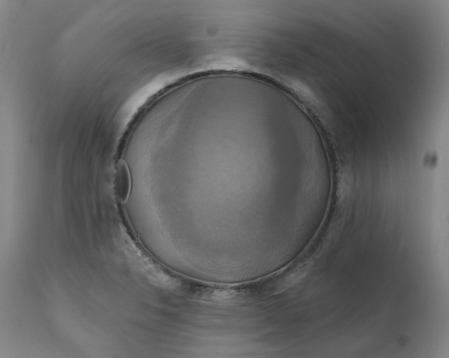 X0000111241326200907161331