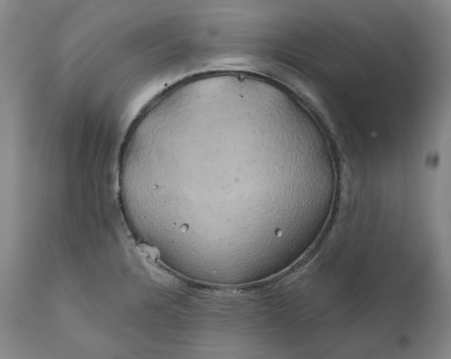 X0000111241328200907161331