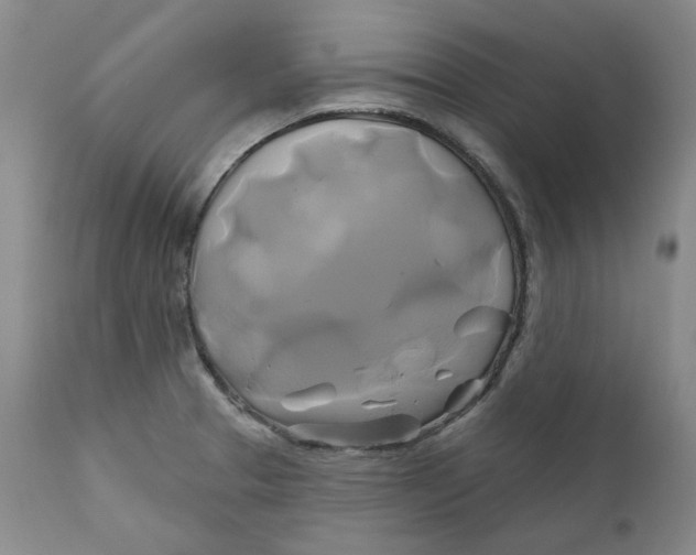 X0000111241329200907161331