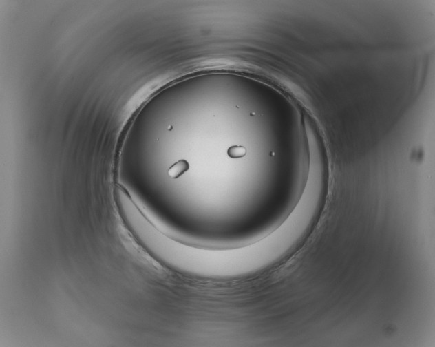 X0000111241330200907161331