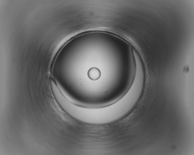 X0000111241332200907161331