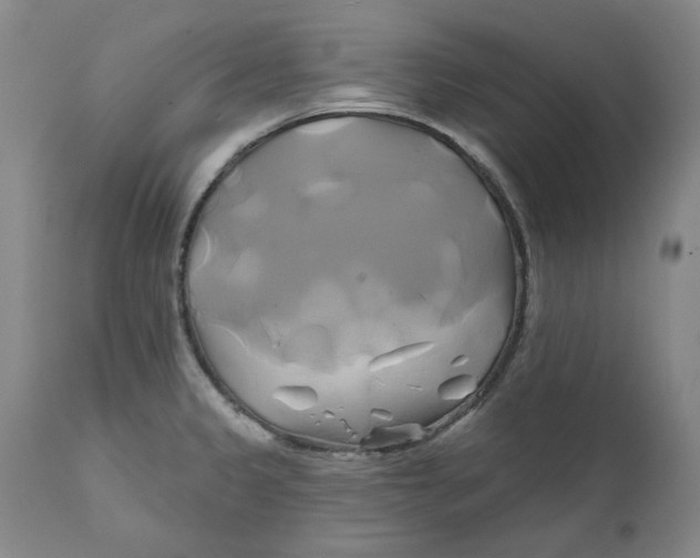 X0000111241333200907161331