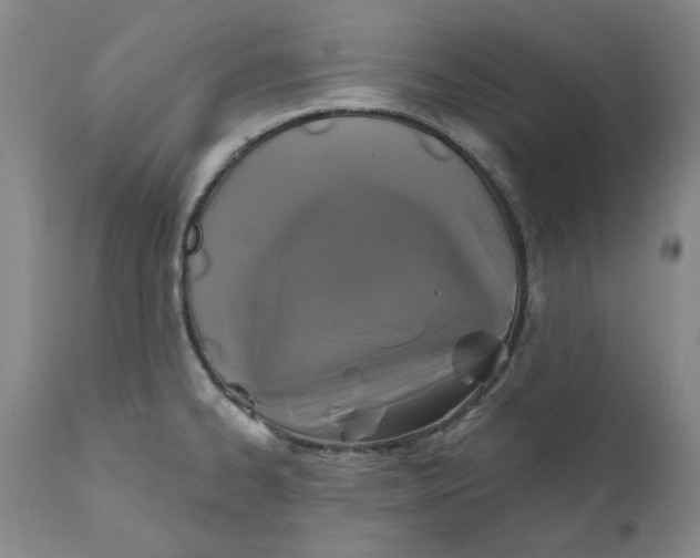 X0000111241334200907161331