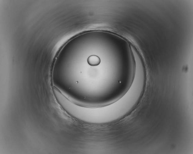 X0000111241336200907161331