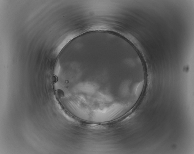 X0000111241337200907161331