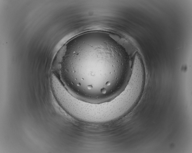 X0000111241338200907161331