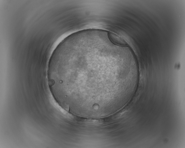 X0000111241339200907161331