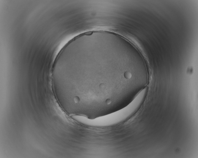 X0000111241340200907161331